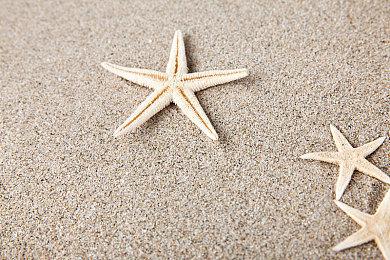 《动物派对》游戏开发日志5：开发接近尾声